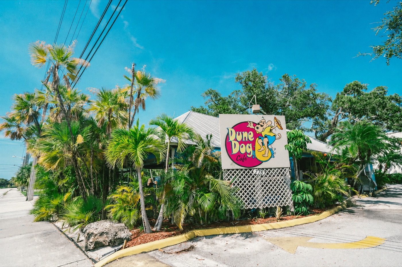 Dune Dog Cafe in Jupiter, framed by palms under a blue Florida sky